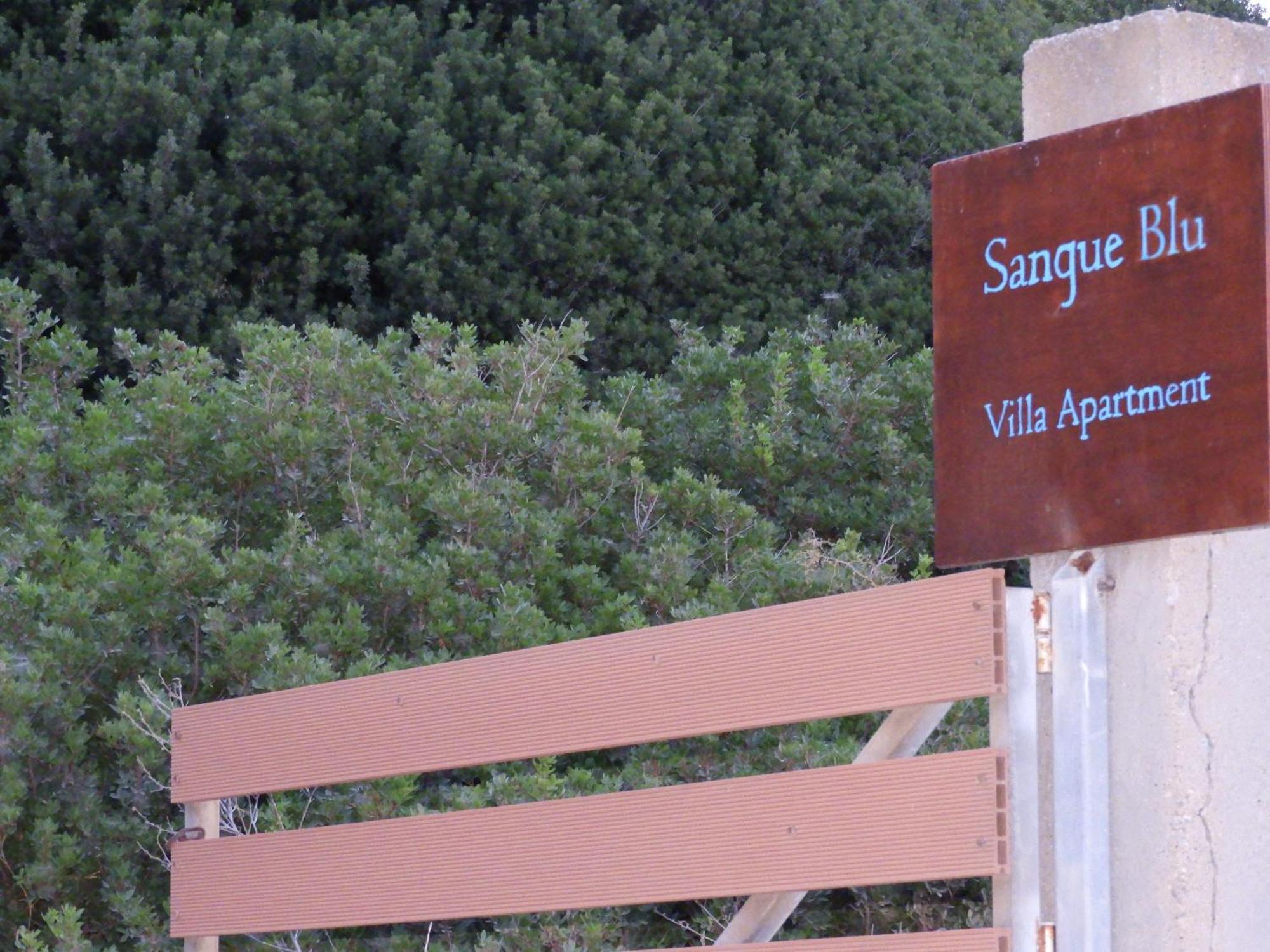 אגיוס ניקולאוס Sangue Blu Beachfront Villa Apartment מראה חיצוני תמונה