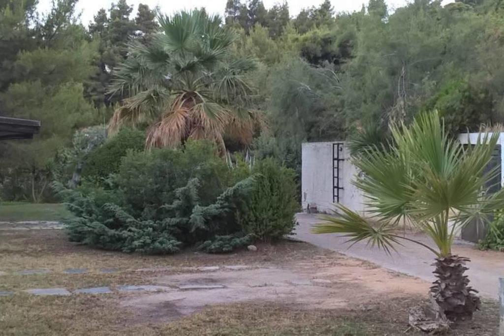 אגיוס ניקולאוס Sangue Blu Beachfront Villa Apartment מראה חיצוני תמונה